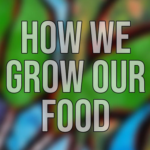 How We Grow Our Food Art Show - Art Department LLC