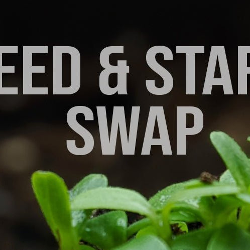 Seed & Start Swap - Art Department LLC