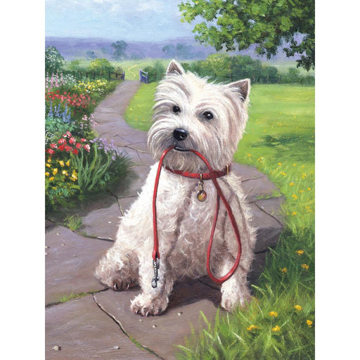 Small Paint By Number Kit, Time For a Walk
