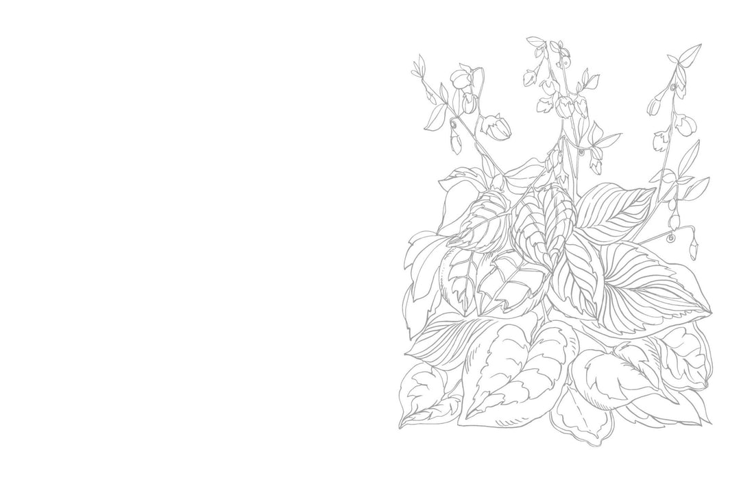 Kristy's Summer Cutting Garden: A Watercoloring Book - Art Department LLC