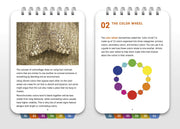 Color Theory 101: Pocket Guide - Art Department LLC