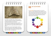 Color Theory 101: Pocket Guide - Art Department LLC