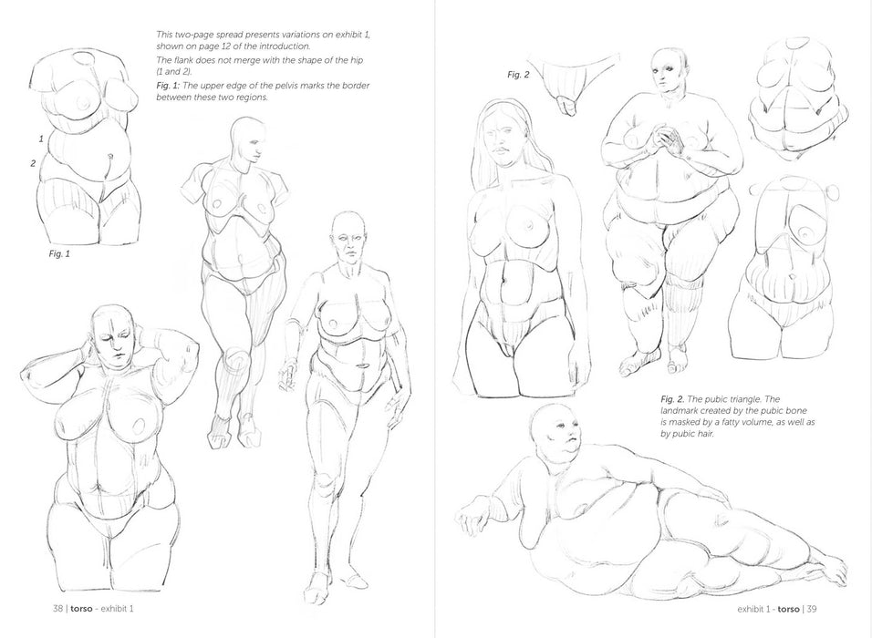 Morpho: Fat And Skin Folds - Art Department LLC