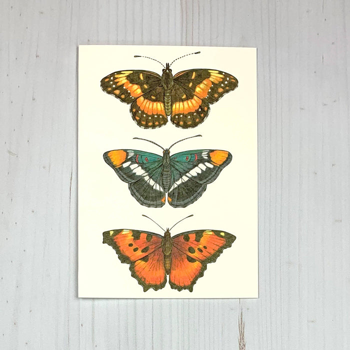 West Coast Colorful Butterfly 5x7" Notecard