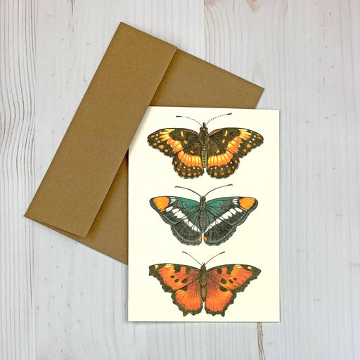 West Coast Colorful Butterfly 5x7" Notecard