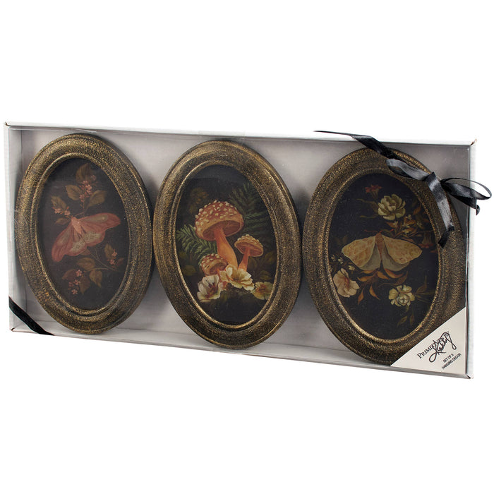 Hidden Garden Hanging Decor Set