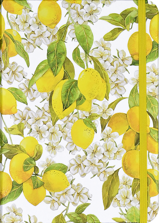 Amalfi Lemons Journal, cover