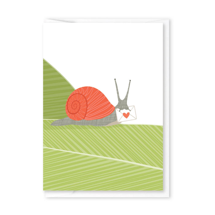 Snail Mail Enclosure - Art Department LLC