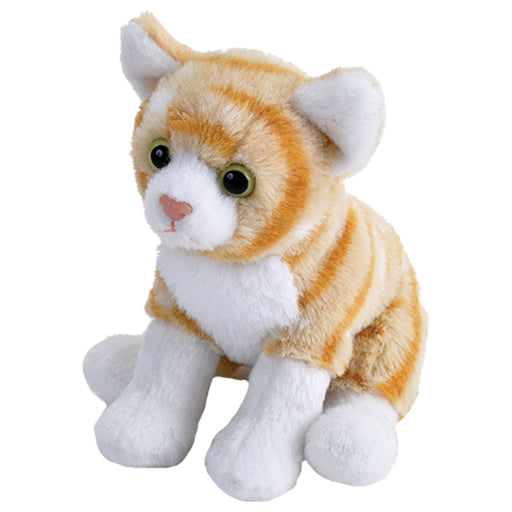 Pocketkins - ECO - Cat Orange Tabby Stuffed Animal 5" - Art Department LLC