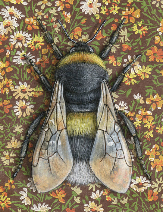 Bumblebee Brown - Note Card - Art Department LLC