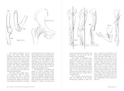 Morpho: Joint Forms And Muscular Functions - Art Department LLC