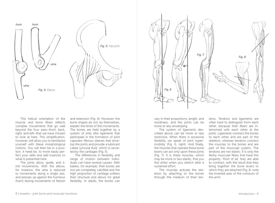 Morpho: Joint Forms And Muscular Functions - Art Department LLC