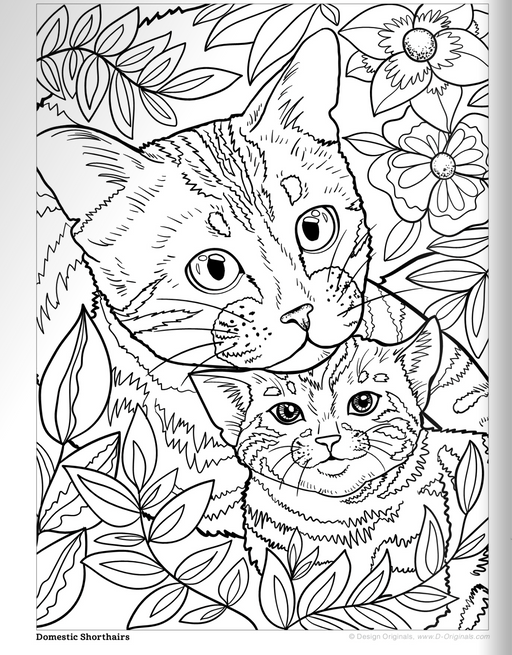 Coloring Book - Cats & Kittens, inside page
