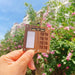 Tiny Wooden Travel Palette with Clip