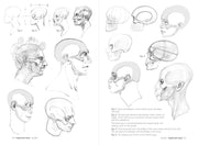 Morpho: Skeleton And Bone Reference Points - Art Department LLC