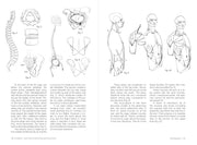 Morpho: Joint Forms And Muscular Functions - Art Department LLC