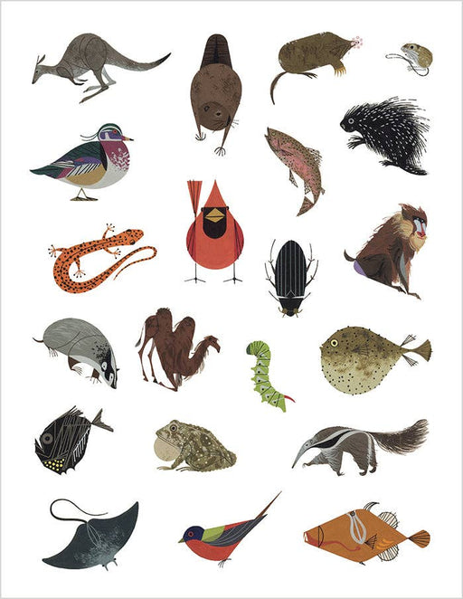 Charley Harper Tree of Life Sticker Book