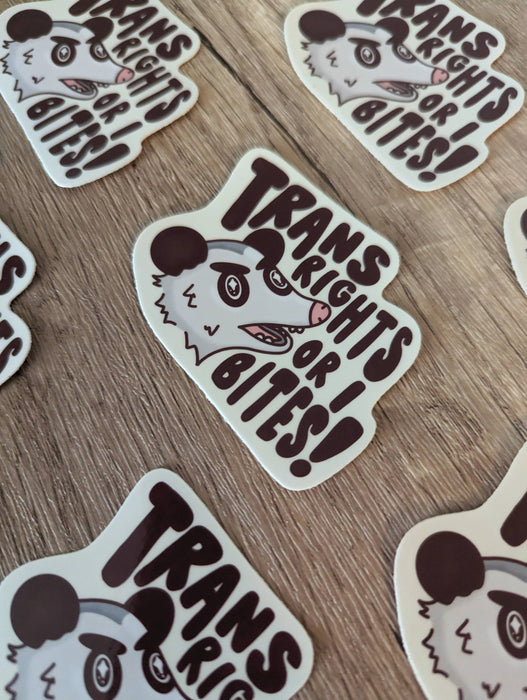 Trans Rights or I Bites - Cute Possum Vinyl Sticker