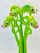 Chameleon Gel Pen - Art Department LLC