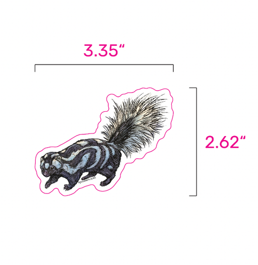 Western Spotted Skunk Vinyl Sticker