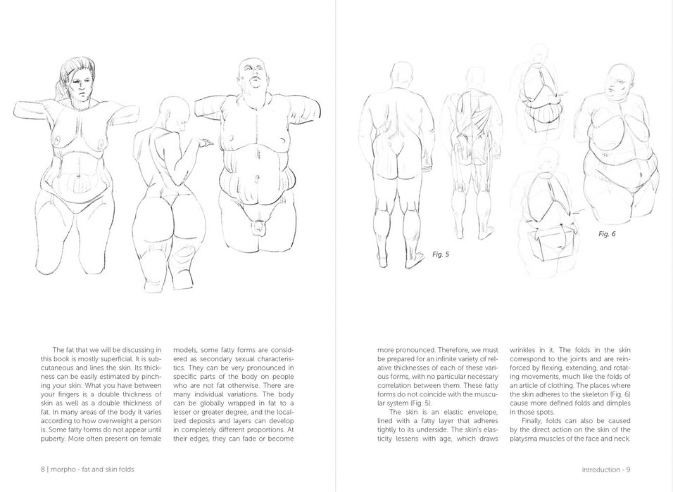 Morpho: Fat And Skin Folds - Art Department LLC