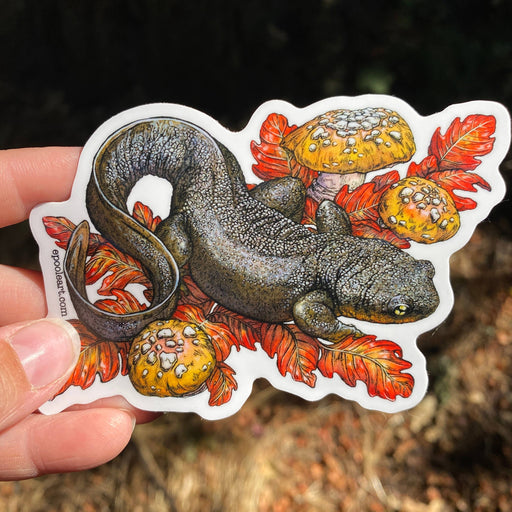 Rough-Skinned Newt Vinyl Sticker