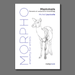 Morpho: Mammals - Art Department LLC
