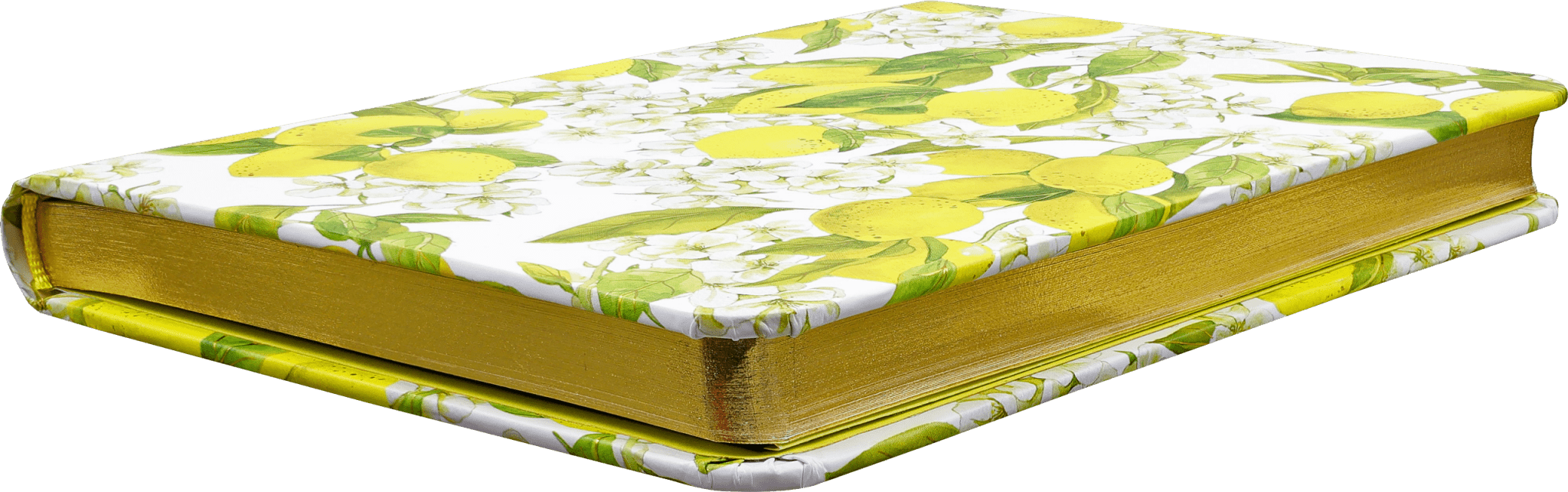 Amalfi Lemons Journal - Art Department LLC