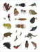 Charley Harper Tree of Life Sticker Book - Art Department LLC
