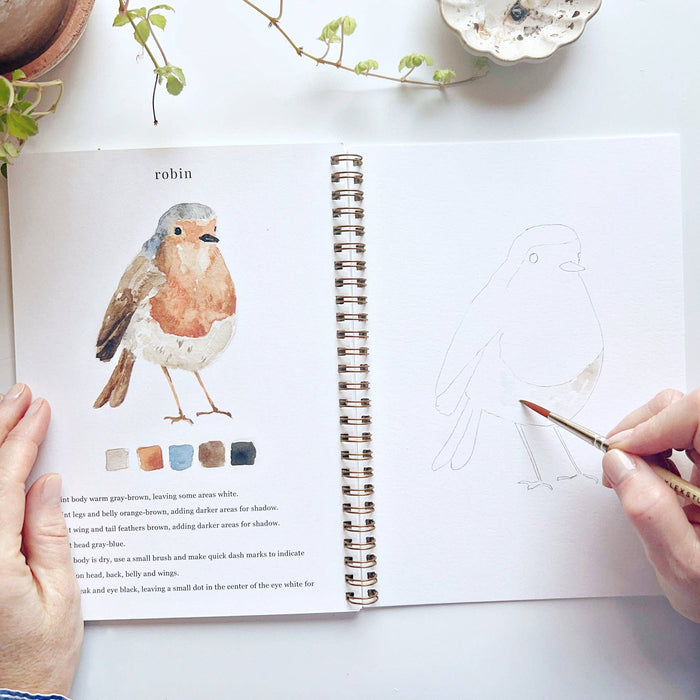 Birds watercolor workbook - Art Department LLC