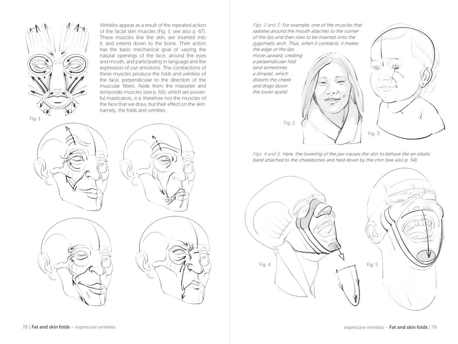 Morpho: Face, Head, And Neck - Art Department LLC