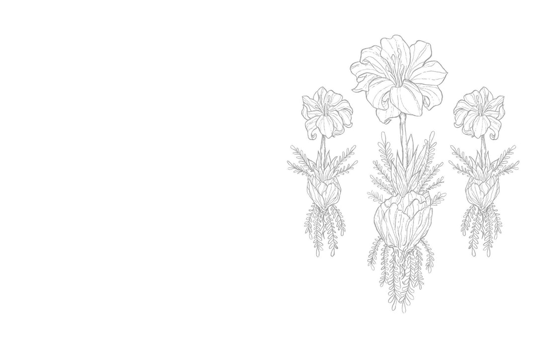 Kristy's Summer Cutting Garden: A Watercoloring Book - Art Department LLC