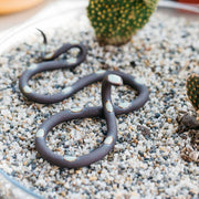 Small Ceramic Snakes - Art Department LLC