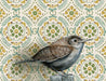 House Wren - Note Card - Art Department LLC