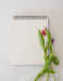 Landscape Watercoloring Book - Outlines with Video Tutorials - Art Department LLC