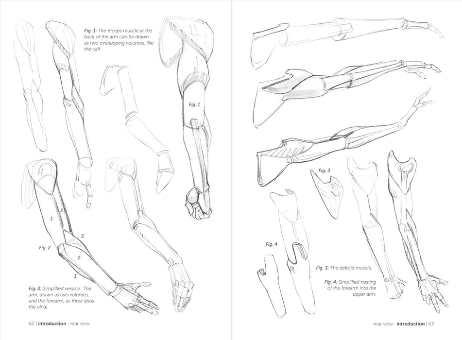 Morpho: Simplified Forms - Art Department LLC