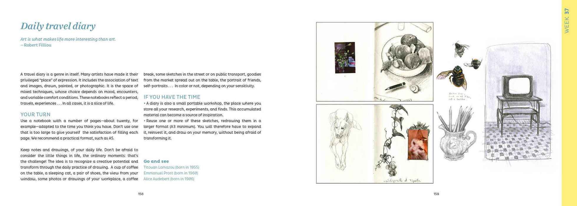 The Little Drawing Workshop - Art Department LLC