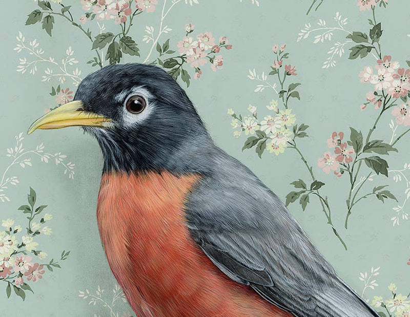 Robin - Note Card - Art Department LLC