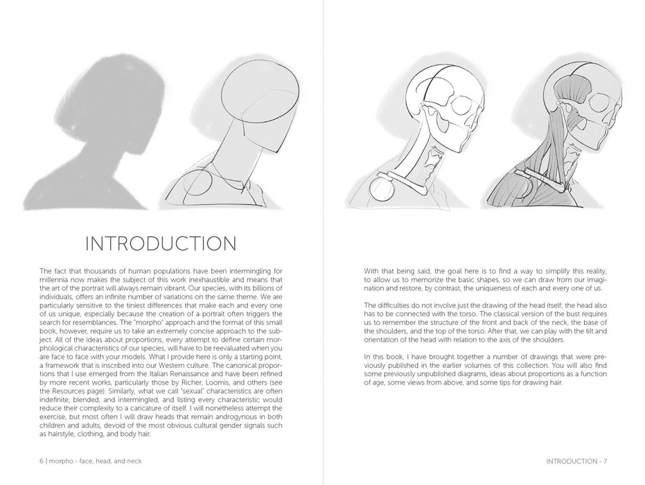 Morpho: Face, Head, And Neck - Art Department LLC