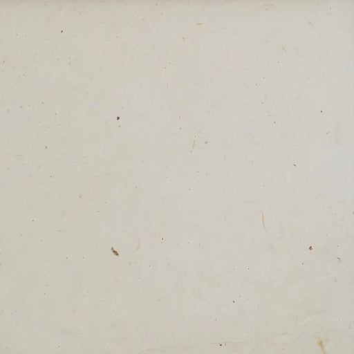 Lokta Decorative Paper
