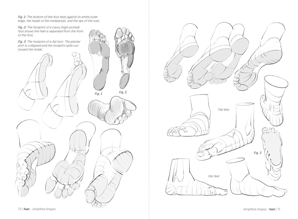 Morpho: Hands And Feet - Art Department LLC