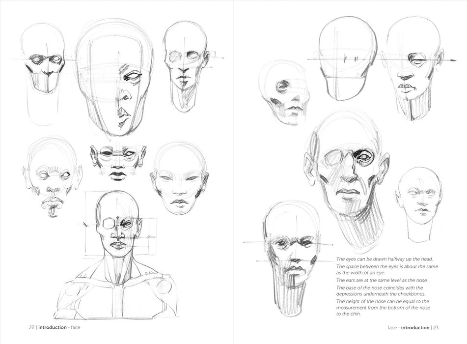 Morpho: Simplified Forms - Art Department LLC