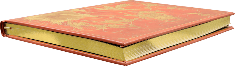 Orange Fairy Journal - Art Department LLC