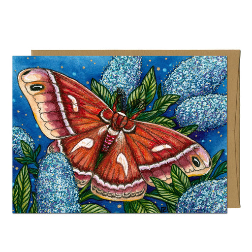 Ceanothus Silk Moth Greeting Card - Art Department LLC
