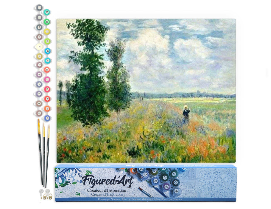 Paint by numbers - Monet Field of Poppies - Art Department LLC