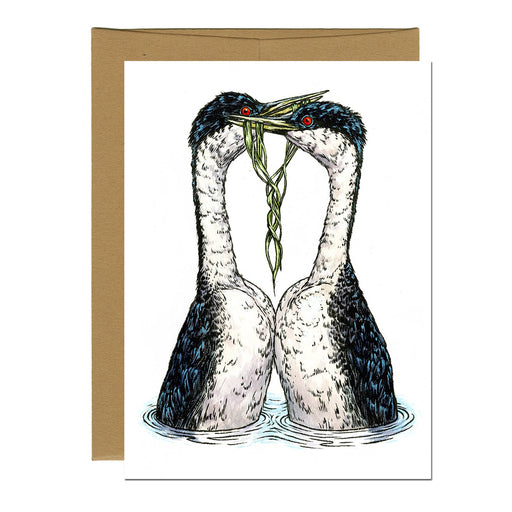 Western Grebes Greeting Card - Art Department LLC