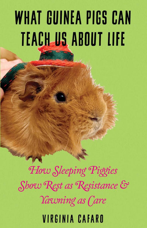 What Guinea Pigs Can Teach Us About Life (Zine)