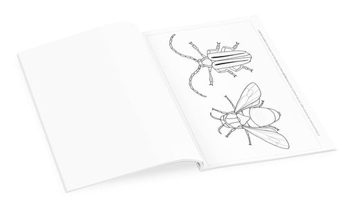 Incredible Insects: Designs by Christopher Marley Coloring Book, inside pages