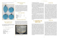 The Ceramics Studio Guide: What Potters Should Know - Art Department LLC
