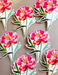 Peony - Clear Sticker - Art Department LLC